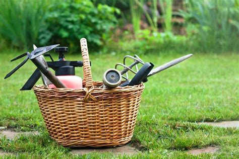 The best garden hoe for heavy weeds. The Best Weeding Tool Options for Gardeners - Bob Vila