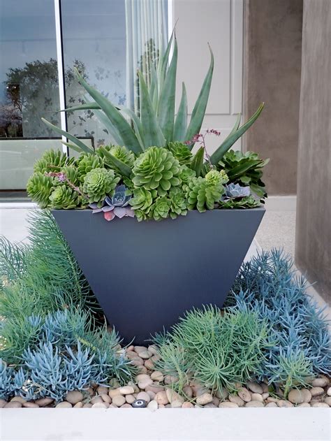 Simply Succulent Plant Designs Los Angeles Orange County