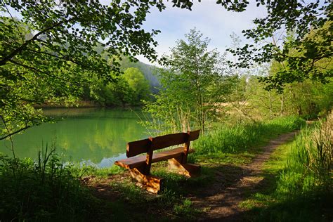 Wohl noch nie gab es so viele wölfe in der schweiz wie 2012. Fotos Schweiz Perolles Weg Natur See Bank (Möbel)