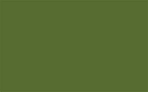 2880x1800 Dark Olive Green Solid Color Background
