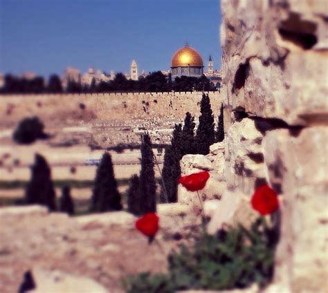 Pin By Ahmed Helmi On القدس وقبة الصخرة المشرفة Palestine Israel