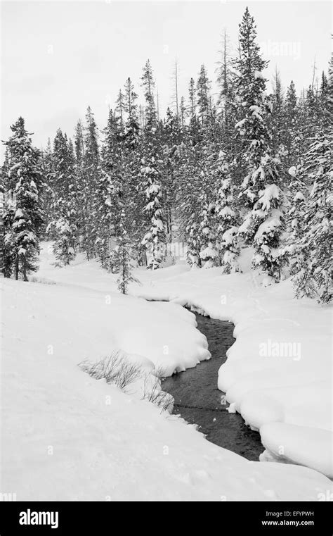 Winter Mountain River Landscape Stock Photo Alamy