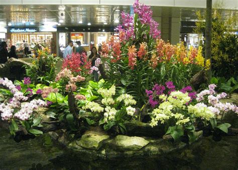 Airport blvd | changi airport, terminal 3, departure transit lounge, level 2 & 3, singapore, singapore. A Profusion of Orchids at Singapore Changi Airport ...