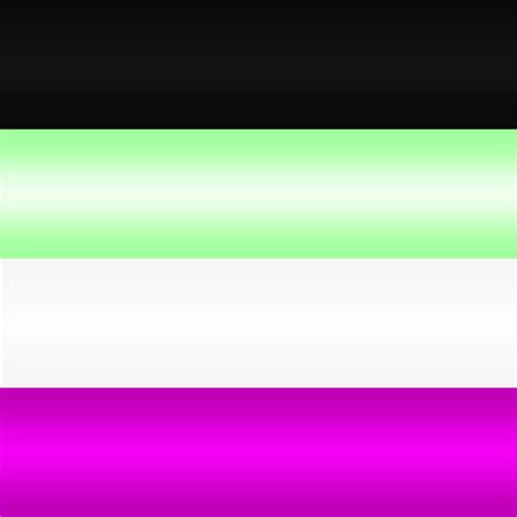 Neon Pride Flags Aromantic Asexual Bi Gay Requests Are Closed