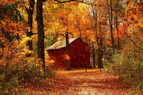 Cottage In Autumn Wallpapers Wallpaper Cave
