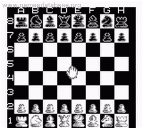 Chessmaster Nintendo Game Boy Artwork In Game