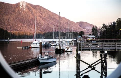 Tofino Resort Marina Tofino British Columbia Resort Reviews