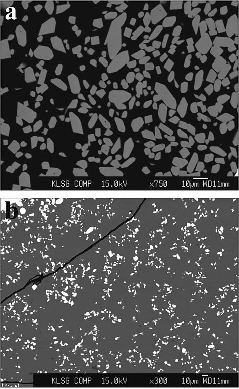 Backscattered Electron Bse Images Of Representative Experimental Run