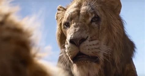 The Lion King Will Reveal Scars Tragic Backstory Showbizztoday