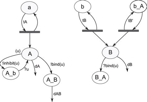 Bistable Gene Network Implementation From Phillips Et Al 27 Using The