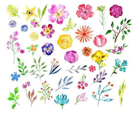 Elegant floral collection free vector. Watercolor flower clipart: 41 bright Branches Flowers and ...