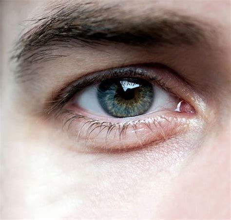 Image result for eye reference | Realistic eye, Eyes, Realistic