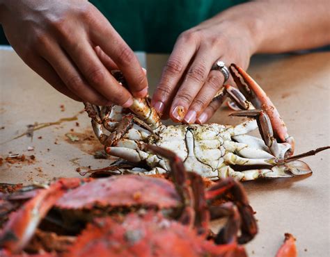 Why Eating Steamed Crabs Is Totally Worth The Effort The Washington Post