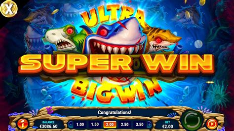💥 Mega Don: Feeding Frenzy (Play’n GO) 💥 Super Epic Big Win! 💥 NEW