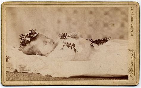 17 Best Images About Morbid Grotesqueries On Pinterest Photographs