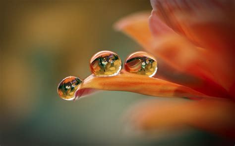 Colorful Water Drop Wallpapers Wallpapers9