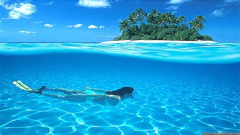 1920x1080px 1080p Free Download Scuba Diving In Paradise Oceans