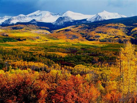 Autumn Mountains Crested Butte Mountains In Full Autumn Co