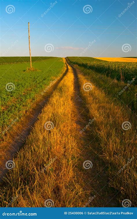 Country Road Going Through Agricultural Fields Stock Photo Image Of