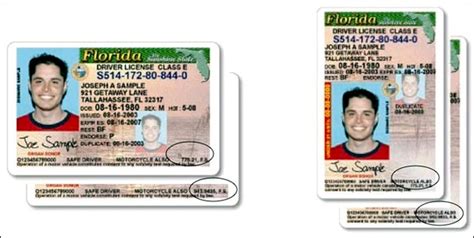 sex offenders will have marked drivers licenses free download nude photo gallery