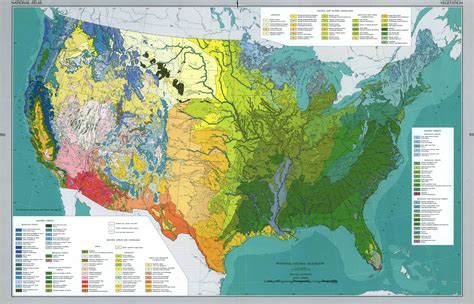 Natural Vegetation In Contiguous United States 1966 Map Vegetation
