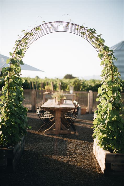 Garden Arch Trellis For Growing Green Beans And Other Vegetables