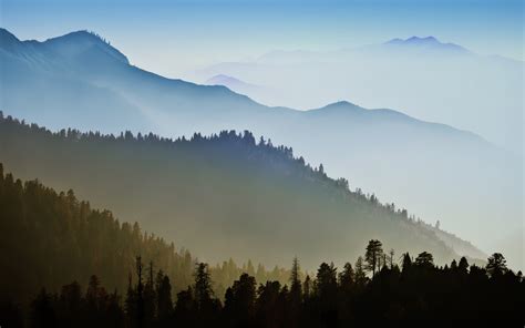Mac Os X Wallpaper 4k Mountains Forest Hills Foggy