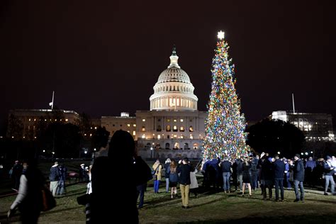 Dc Christmas Trees Ranked Washingtonian