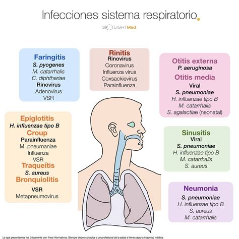 Spotlightmed En Instagram Infecciones Sistema Respiratorio 😷