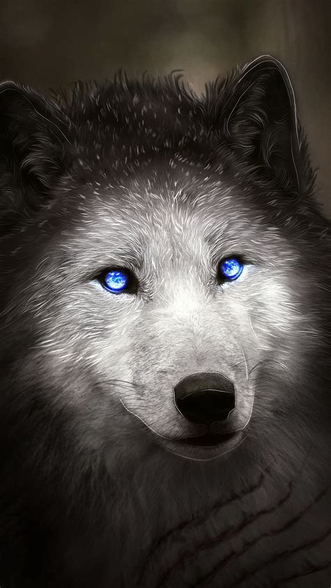 Black Wolf With Blue Eyes Wallpaper