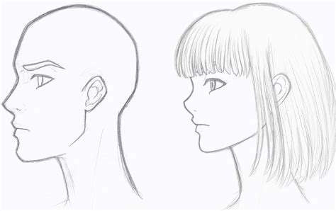 Let's draw a manga head step by step in all the popular views. Profile Sketches by DivineSaint on DeviantArt