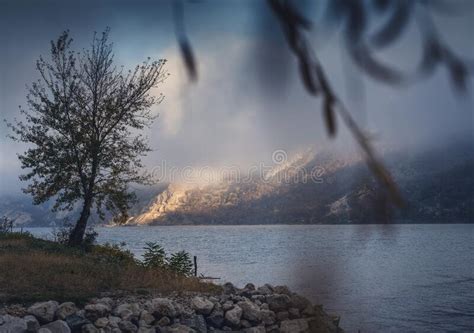 Beautiful Moody Autumn Landscape Tree On The Shore Of A Mountain Lake