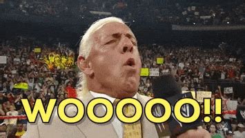 Ric Flair By WWE Find Share On GIPHY