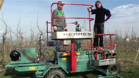A complete guide to pruning fruit trees, including purposes, benefits, timing, goals of seasonal pruning, and pruning tactics to use. Frumaco - Fruit Picking and Tree Pruning Platform (2 ...
