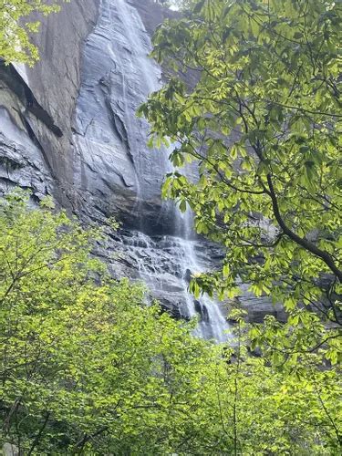 10 Best Waterfall Trails In North Carolina Alltrails