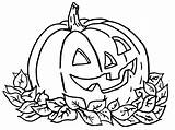 Halloween Pumpkin Pages Coloring Coloringpages4u Halloweenpumpkin sketch template