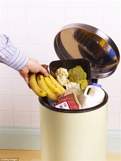 Do not mistake dangerous levels of. Americans throw away enough food to feed the world | Daily ...