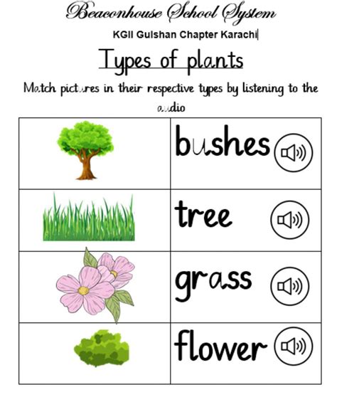 Types Of Plant Worksheet Live Worksheets