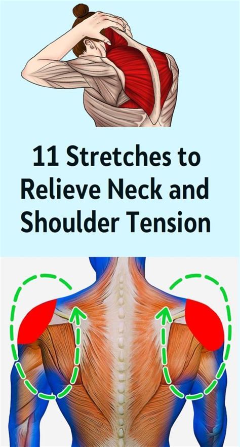 11 Stretches To Relieve Neck And Shoulder Tension Neck Exercises