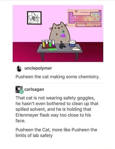 And Unclepolymer Pusheen The Cat Making Some Chemistry Carlsagan That