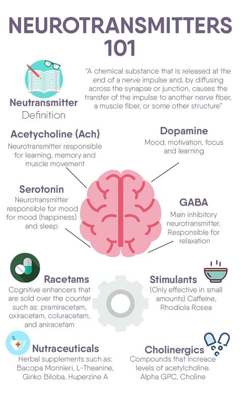 Neurotransmitters And Their Functions Chart