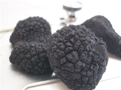 Fresh Black Summer Truffles Tuber Aestivum 20g 60g Wtatruffles