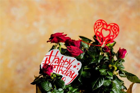 Le Rose Rosse Fiorisce Con Cuore Rosso Su Fondo Di Legno Biglietto Di Auguri Per Il Compleanno