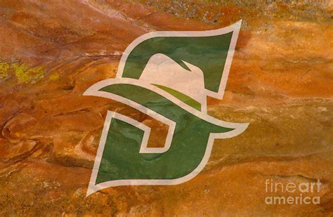 Stetson University Hatters Digital Art By Steven Parker Fine Art America