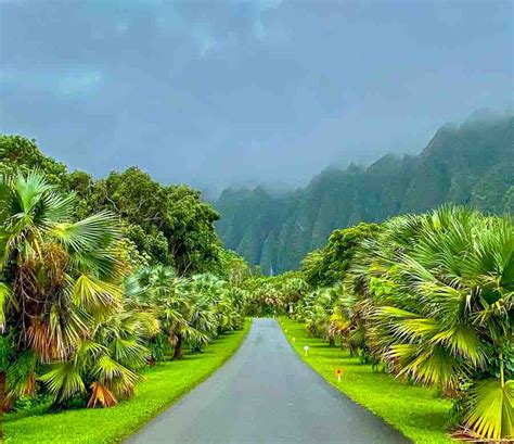 Hoomaluhia Botanical Garden This Hawaii Life