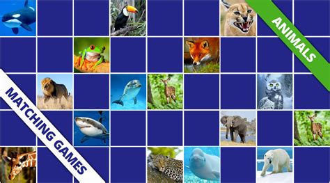 Animals Memory Games Online And Free Games Memozor