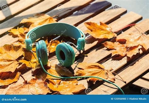 Vintage Headphones With Maple Leaves Stock Image Image Of Fall