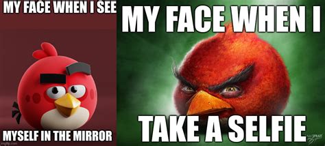 Image Tagged In Amazingly Redrealistic Red Angry Birds Imgflip