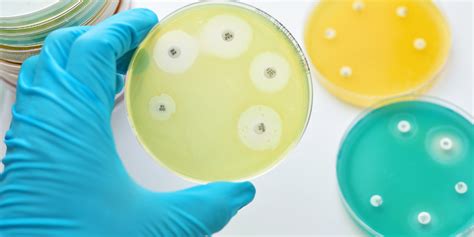 Antimicrobial Resistance Aesgp