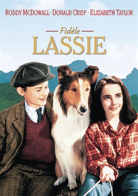 Fidèle Lassie Bande Annonce Du Film Séances Streaming Sortie Avis